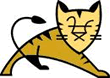 ol(wi)ApacheTomcatģK֧_O(sh)JSPW(wng)վ